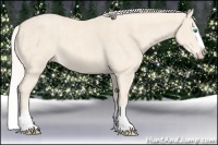 Horse Color:Cremello Splash Brindle