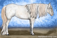 Horse Color:White Spotted Buckskin Pearl Appaloosa 