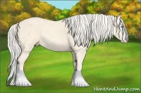 Horse Color:Cremello Splash  Brindle
