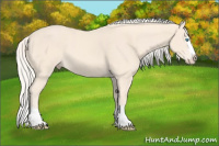 Horse Color:Cremello Splash 