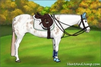 Horse Color:White Spotted Bay Dun Blanket Rabicano