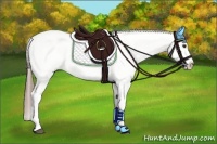 Horse Color:White Spotted Grullo Appaloosa Rabicano 