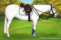 Horse Color:Smoky Grullo Pearl Tobiano Blanket Rabicano 