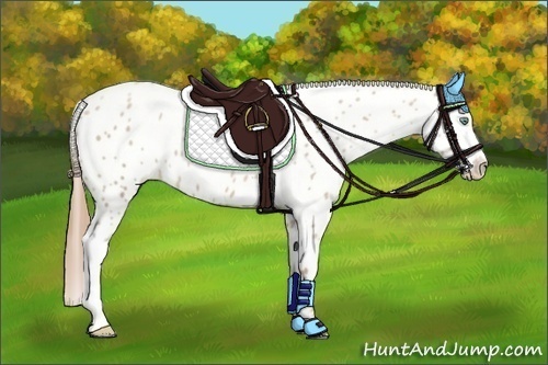 Horse Color:Smoky Black Pearl Appaloosa 