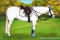 Horse Color:White Spotted Buckskin Dun Blanket Rabicano 