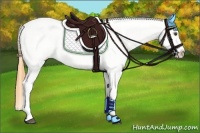 Horse Color:Buckskin Dun Leopard Rabicano 