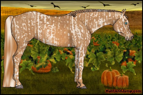 Horse Color: Cremello Splash  Brindle