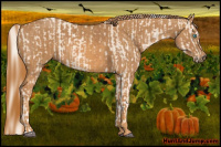 Horse Color:Cremello Splash Brindle