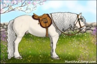 Horse Color:Cremello Splash  Brindle