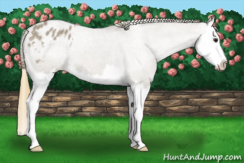 Horse Color:Smoky Grullo Splash Varnish 