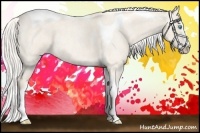 Horse Color:Cremello Roan Splash Tobiano  Brindle