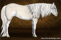 Horse Color:Cremello Splash  Brindle