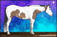 Horse Color:Brown Dun Splash Tobiano 