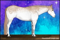 Horse Color:White Spotted Red Dun 