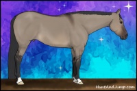 Horse Color:Brown Dun 
