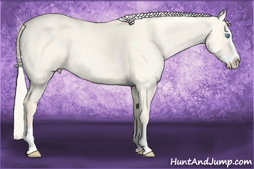 Horse Color: Cremello Dun Splash  Brindle