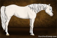 Horse Color:Cremello Roan Splash  Brindle