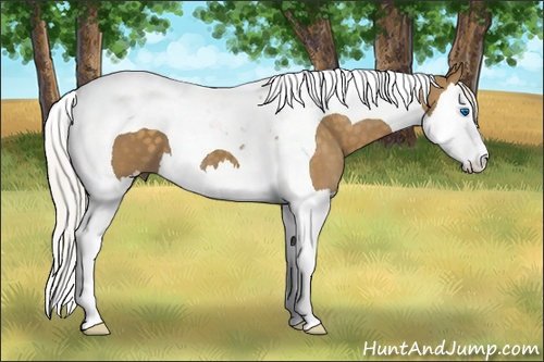 Horse Color: Silver Smoky Black Splash Tobiano 
