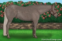 Horse Color:Silver Black 