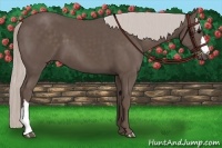 Horse Color:Silver Black 
