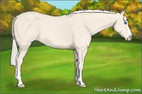 Horse Color:Cremello Splash Brindle