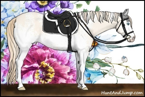 Horse Color: White Spotted Perlino Dun 