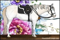 Horse Color:White Spotted Perlino Dun 