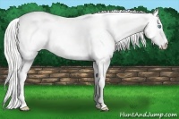 Horse Color:White Spotted Silver Perlino Dun 