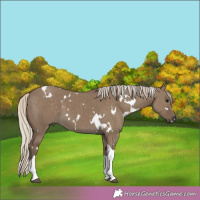 Horse Color:White Spotted Silver Smoky Grullo Tobiano