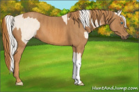 Horse Color:Cremello Splash  Brindle