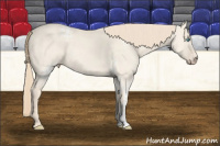 Horse Color:White Spotted Perlino Dun 