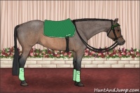 Horse Color:Brown Roan 