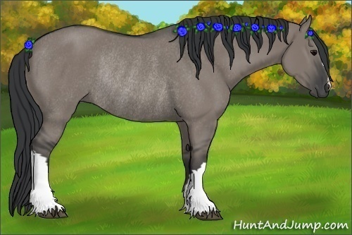 Horse Color: Grullo Rabicano 