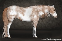 Horse Color:White Spotted Red Roan Splash Frame