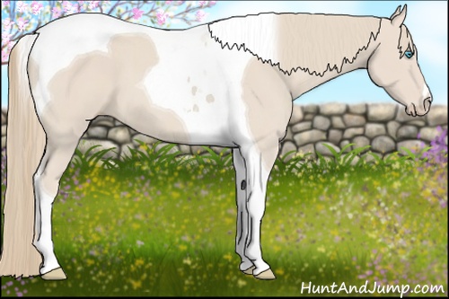 Horse Color: Smoky Creme Tobiano 