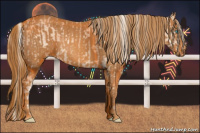 Horse Color:Cremello Splash  Brindle