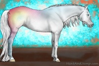 Horse Color:Gray Cremello Splash Brindle