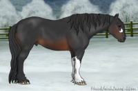Horse Color:Brown 