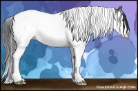 Horse Color:Grullo Splash Tobiano 