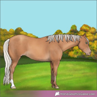 Horse Color:Silver Amber Cream Champagne 
