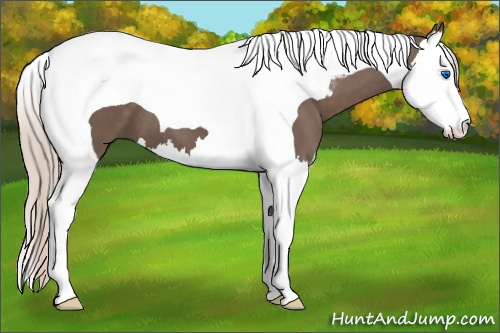 Horse Color: Silver Black Splash Tobiano 