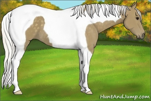 Horse Color: Silver Smoky Black Tobiano 