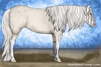 Horse Color:Cremello Roan Splash Brindle