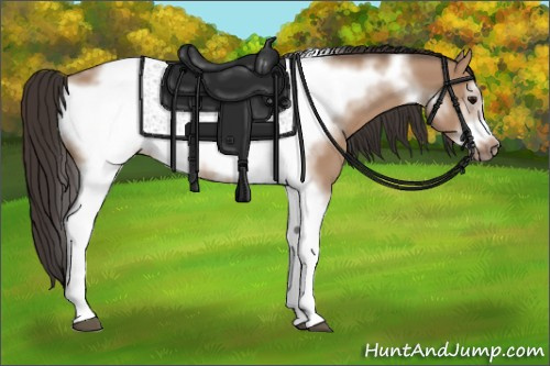 Horse Color: Bay Dun Tobiano Frame 