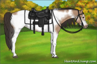 Horse Color:Bay Dun Tobiano Frame 