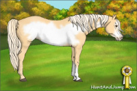 Horse Color:Palomino Frame 