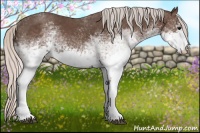 Horse Color:White Spotted Silver Black 