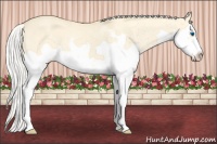 Horse Color:Silver Classic Cream Champagne Dun Splash Frame 