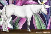 Horse Color:Silver Classic Champagne Roan Dun Splash Frame Appaloosa Rabicano