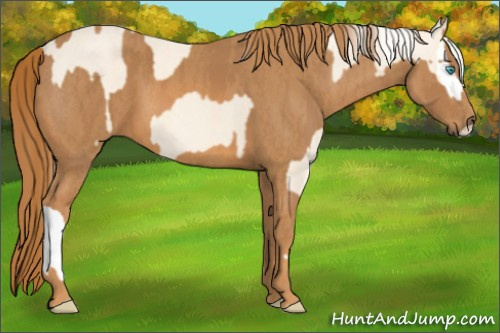 Horse Color: Cremello Splash  Brindle